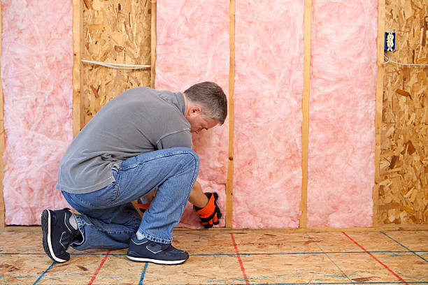 Best Residential Insulation in Lower Lake, CA